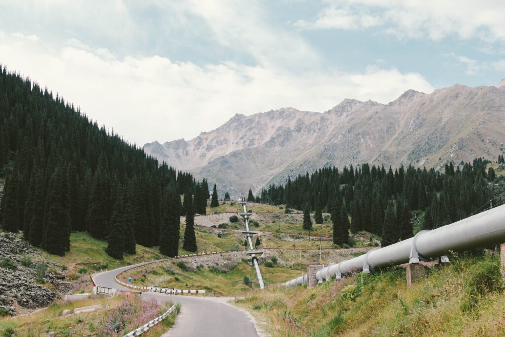 grey pipeline and road through green trees and mountains