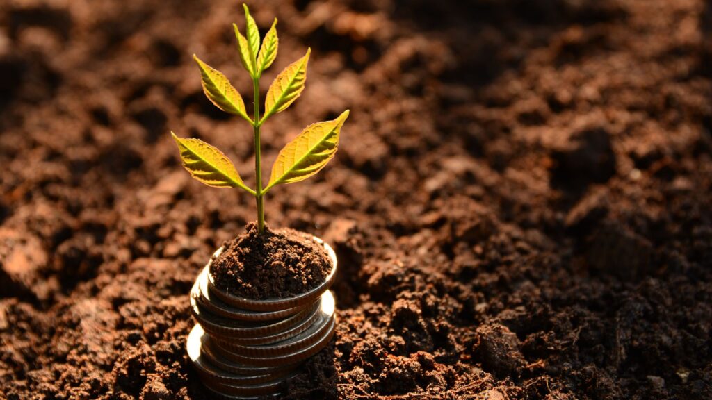 Small tree shoot growing from stack of coins on soil 