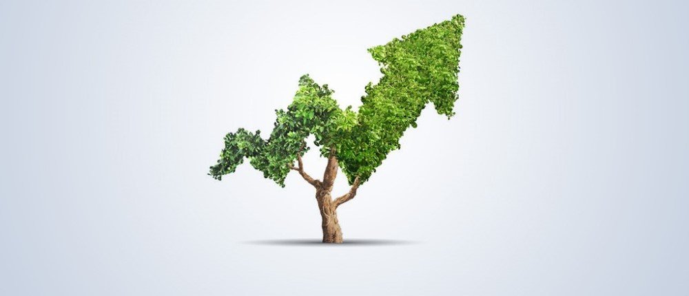 6 Traits of Credible ESG in Forestry 