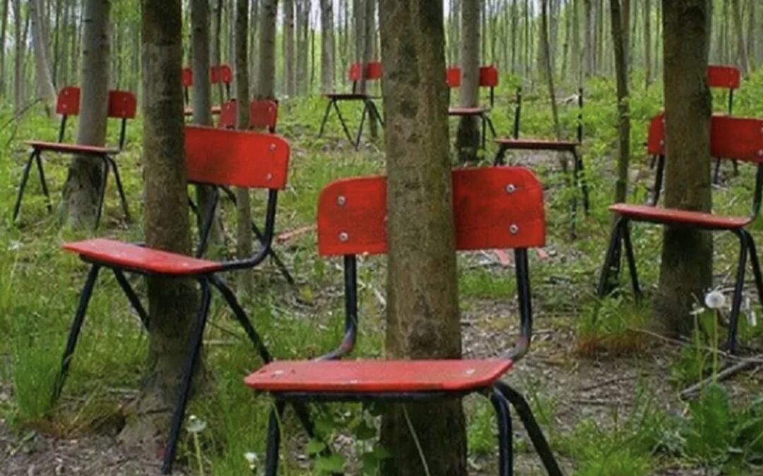Don’t Let Forest Investment Risks Fall Between Chairs 