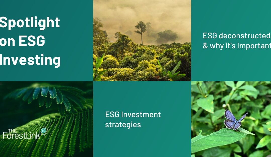 Spotlight on ESG Investing: Why ESG Factors are crucial to investment decisions