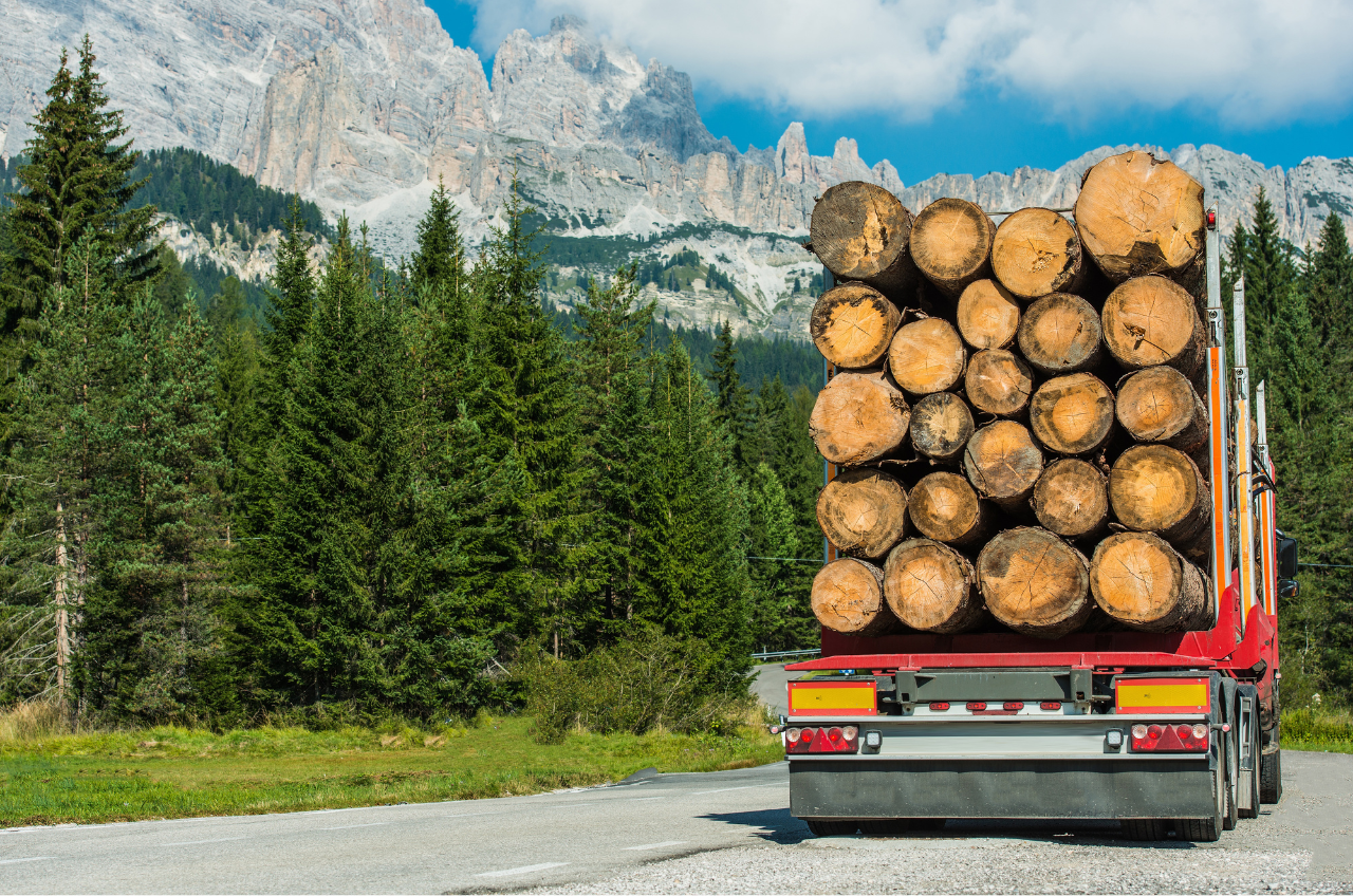 Timber investment - image of a log truck next to a forest