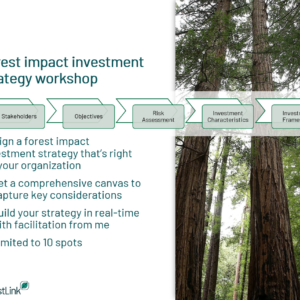 Forest impact investment strategy workshop