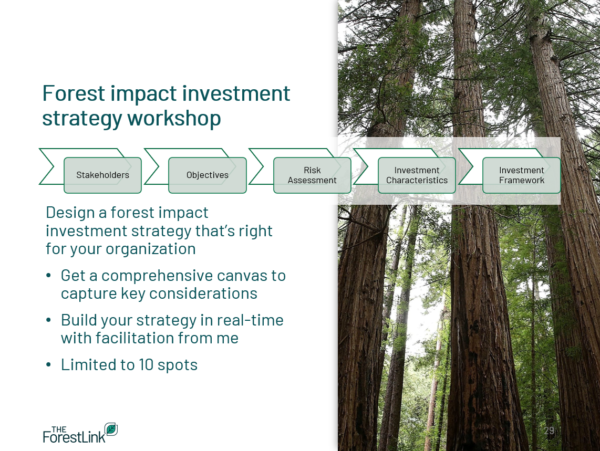 Forest impact investment strategy workshop