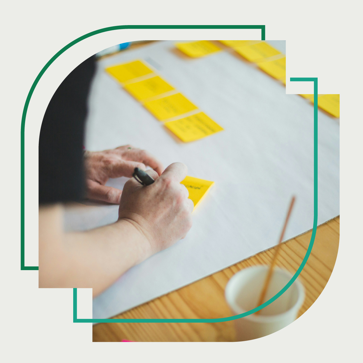 Forest Investment Growth Assessment for Asset Managers